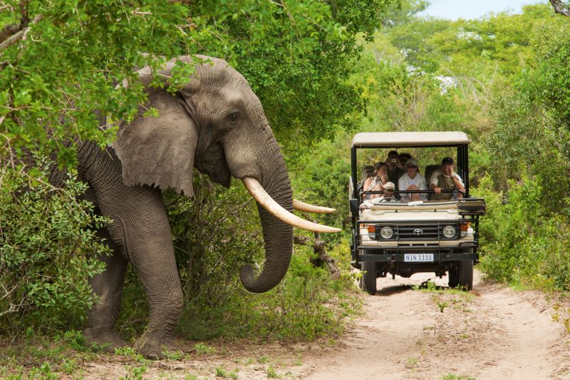 Autotour Joyaux du Parc Kruger