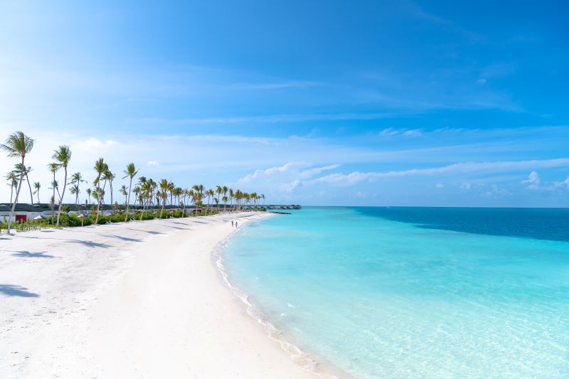 Joy Island - The Cocoon Collection 5* - 5